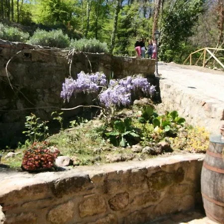 Holiday home Il Mulino Del Rigualdo